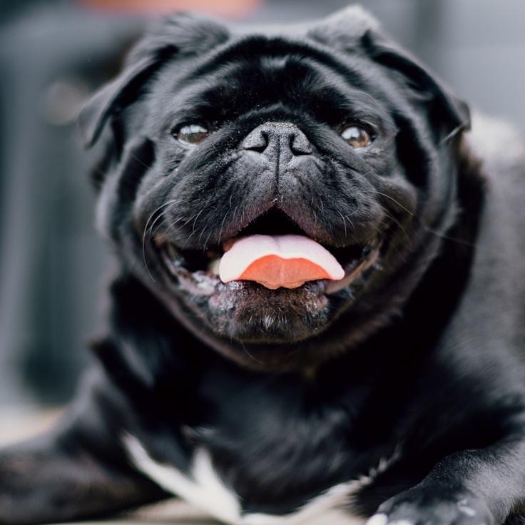 Business client testimonial